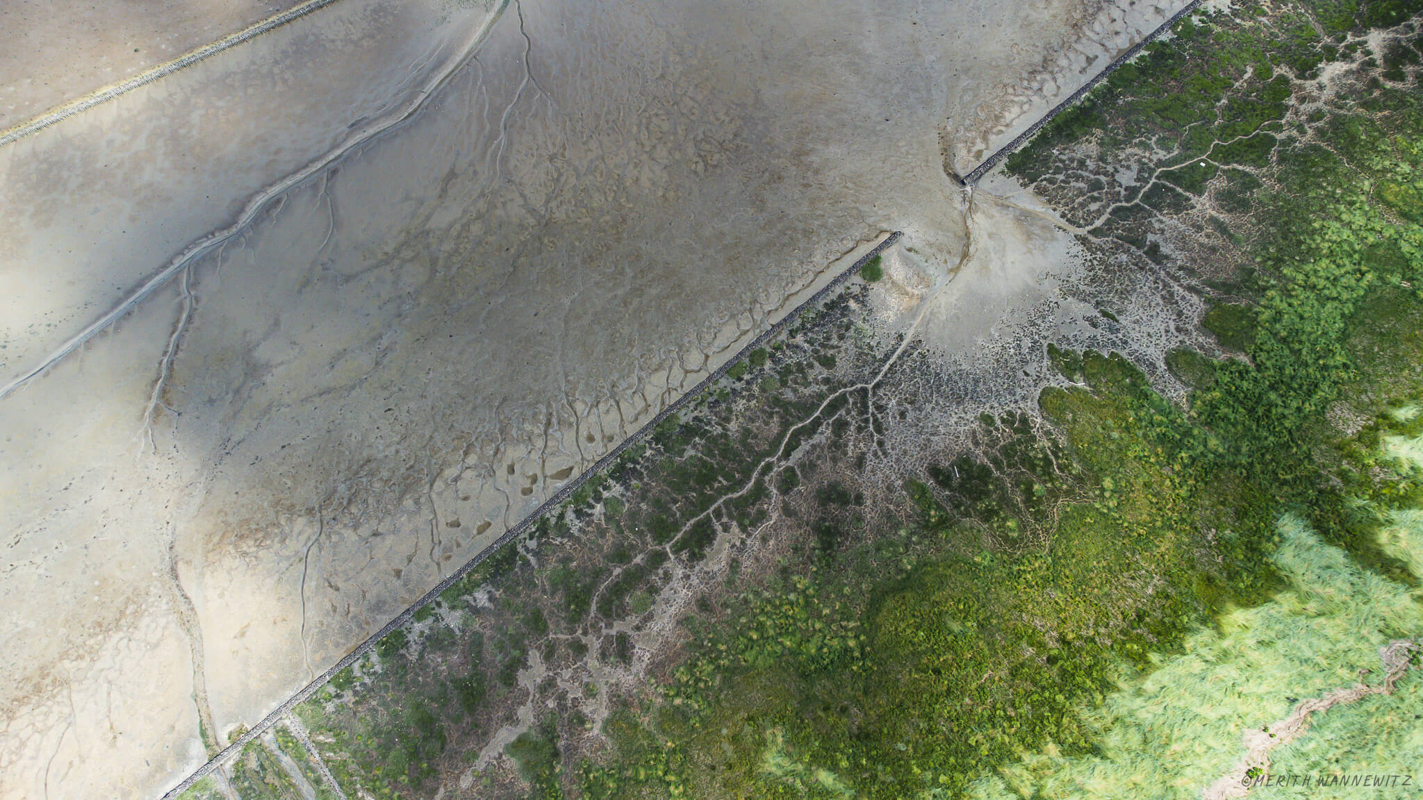 Aerial shot of salt marshes at the North Sea.